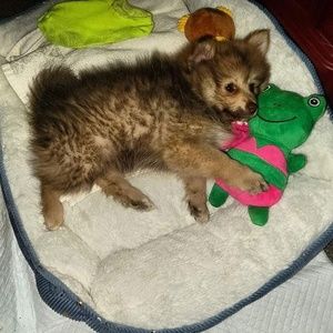 Meet your Posher, Barbara